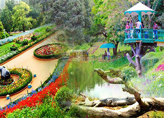 ooty tour package